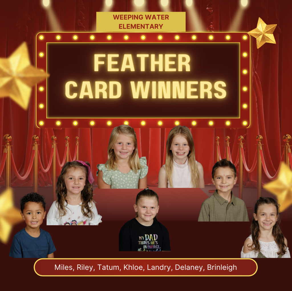 Feather winners