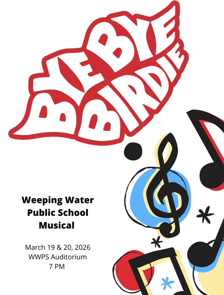 Bye Bye Birdie Flyer