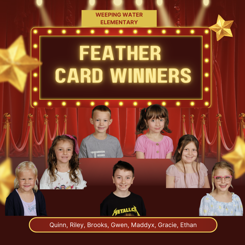 Feather card winners