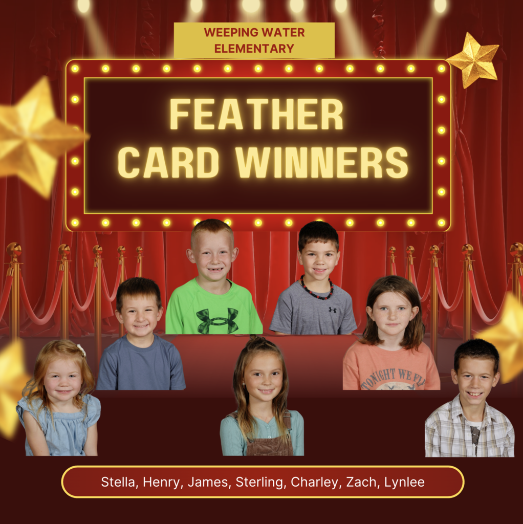 Feather card winners