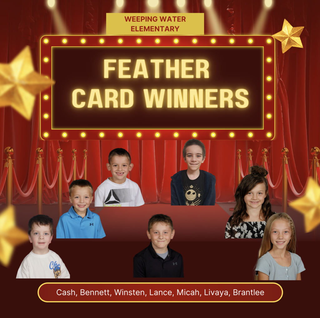 feather winners