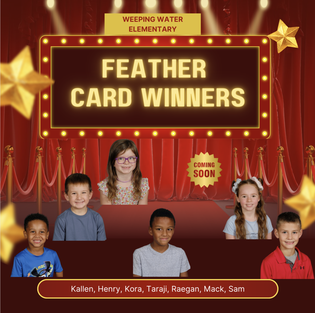Feather card winners
