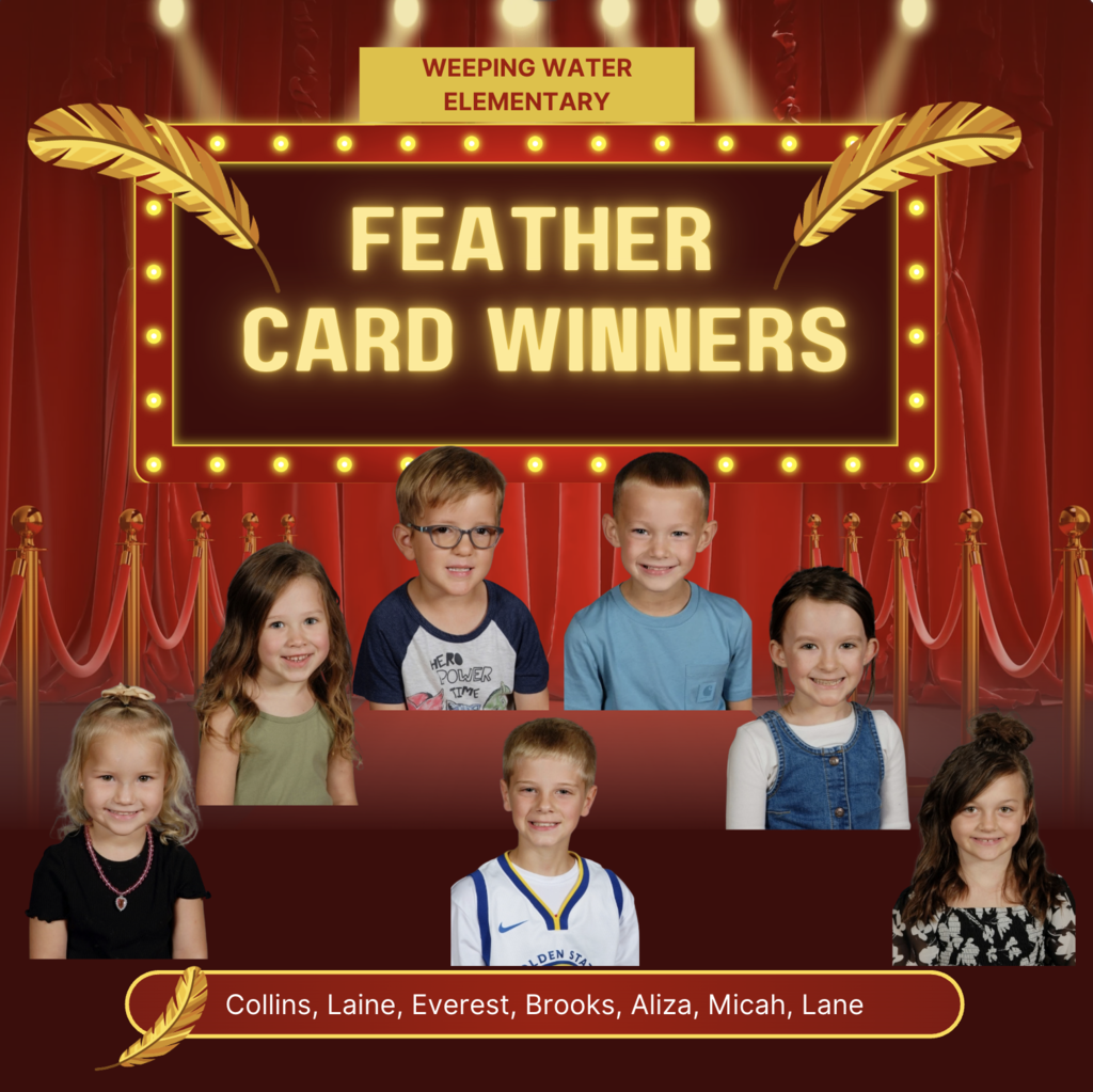 feather winners