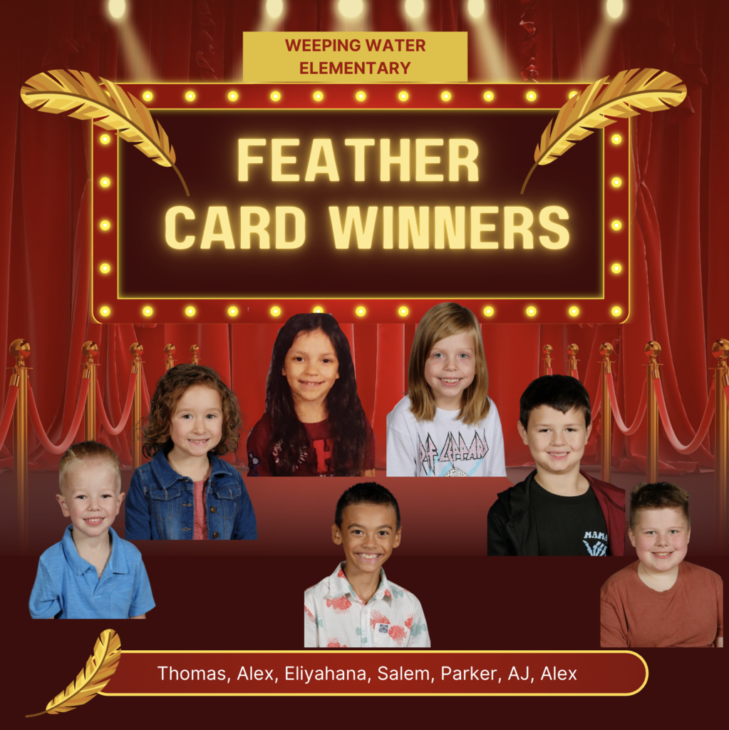 feather winners