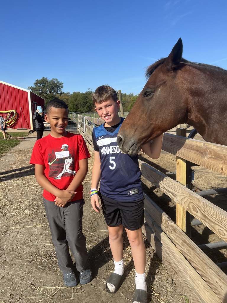 horse