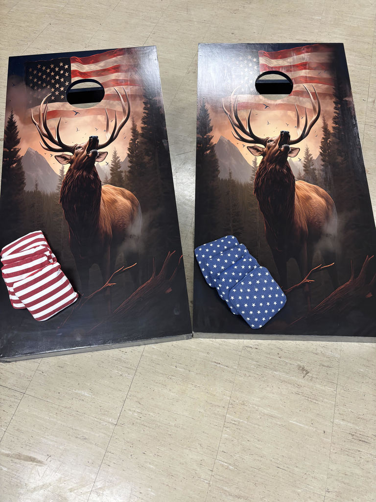 TSA Cornhole Boards fundraiser