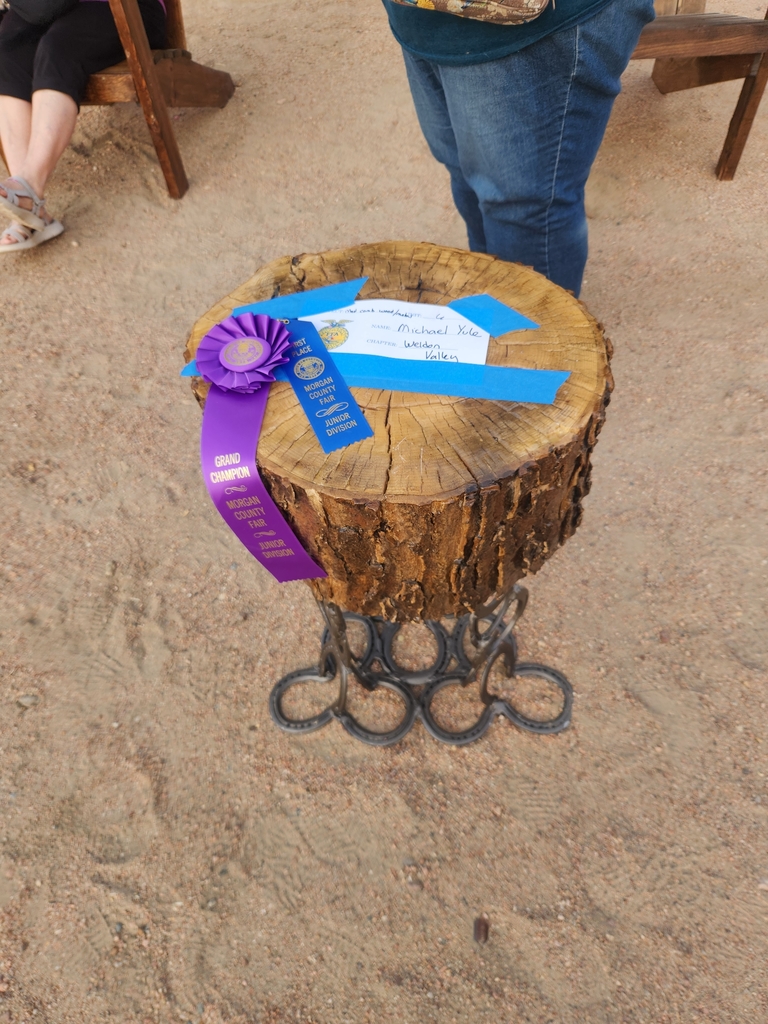 A table made from horseshoes and a tree stump won Grand Champion for the County Fair Ag Mechanics Contest.