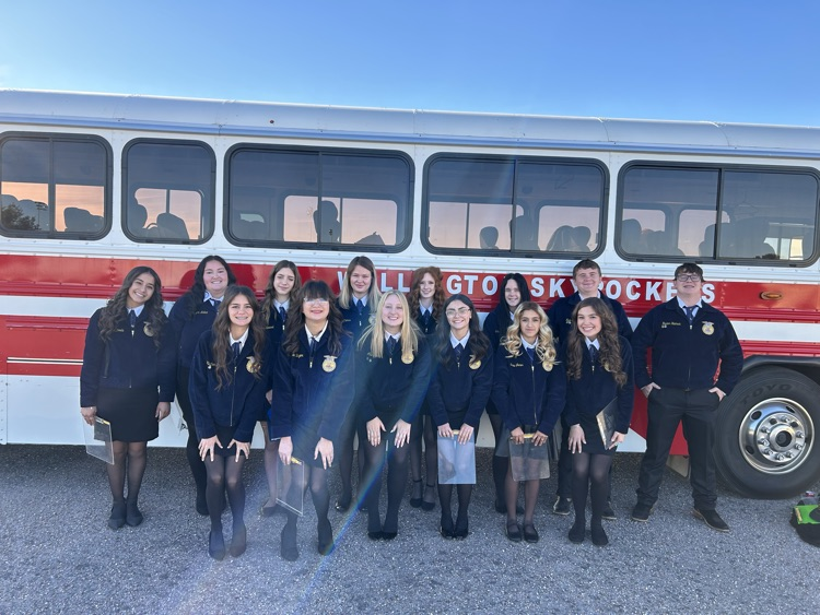 ffa lde wellington team