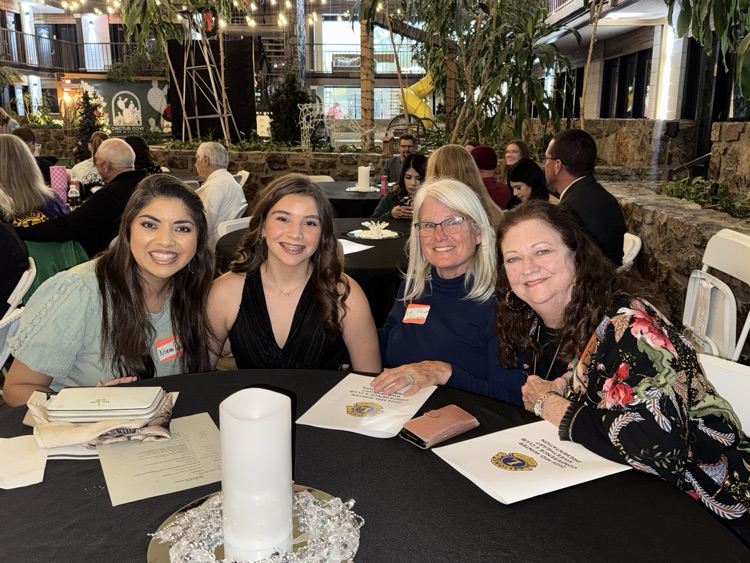 Treylea and Wellington lions