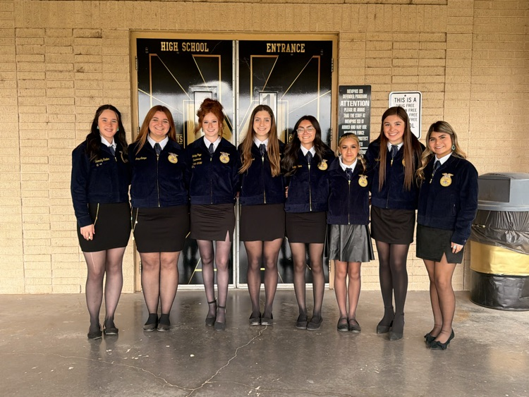 wellington ffa