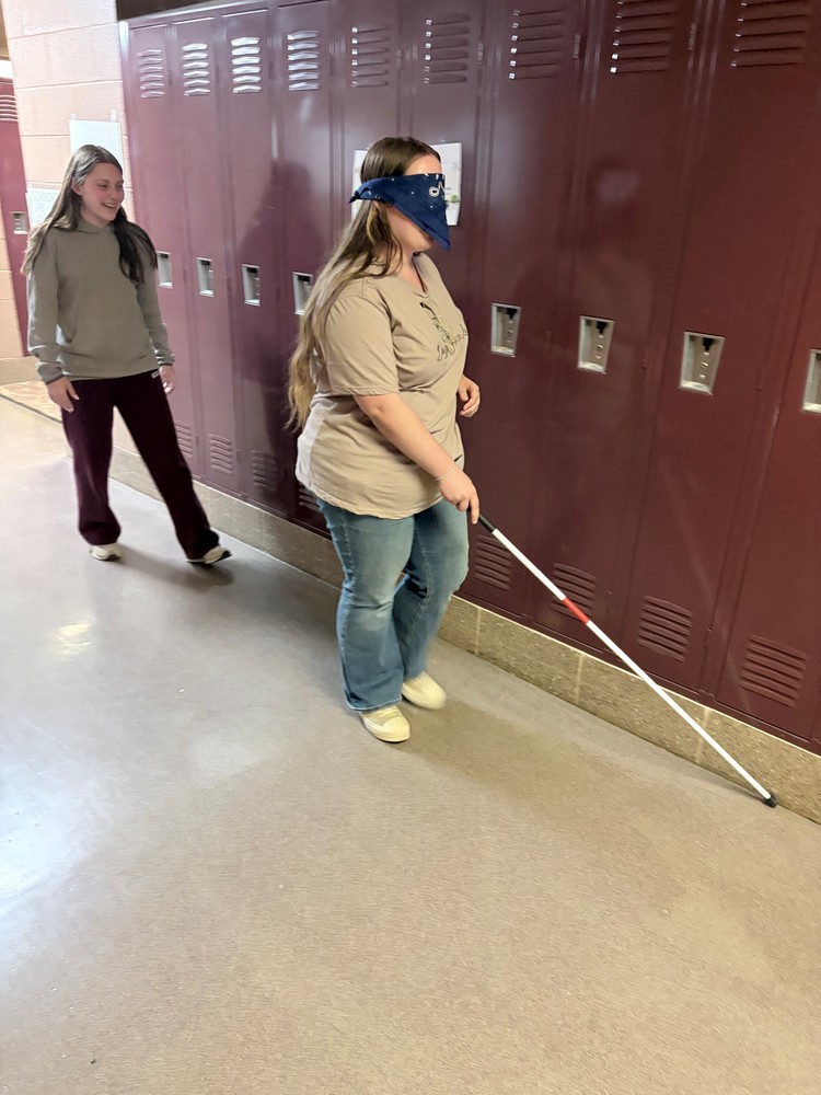 Disability Awareness in Health Occupations