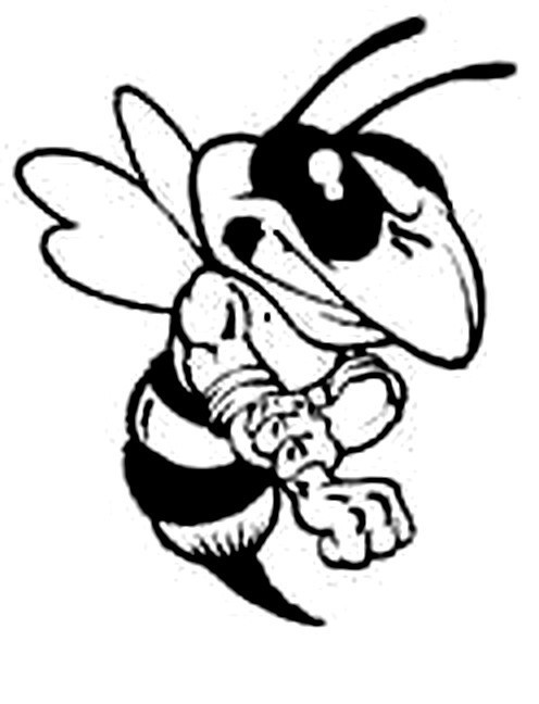 Hornet