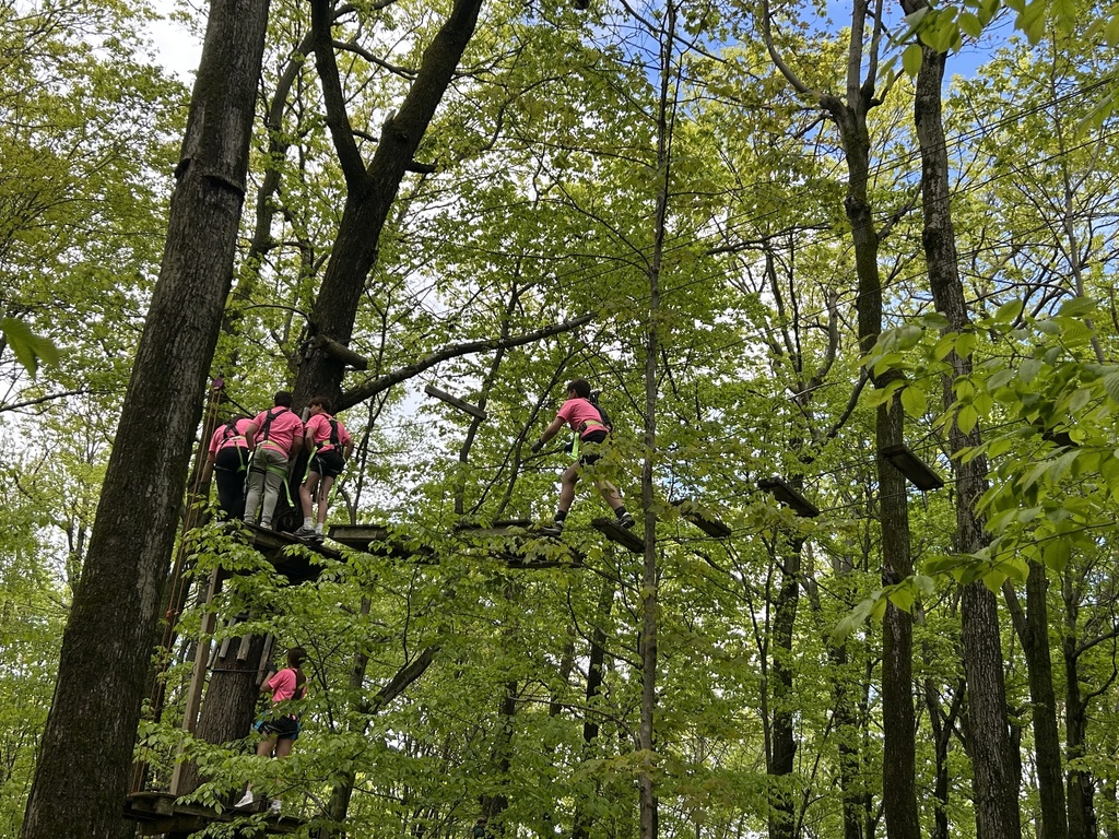 High Ropes Course