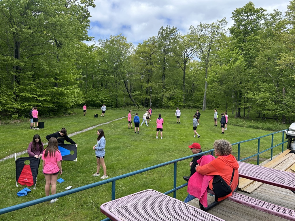 Yard games in field