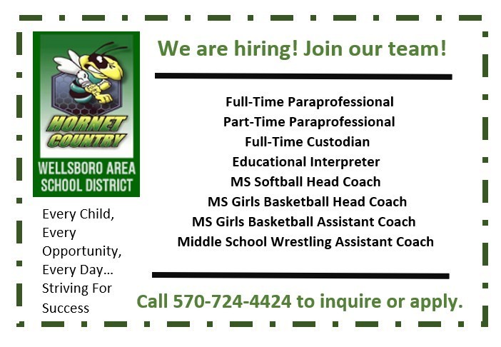 Job vacancies for the Wellsboro Area School District