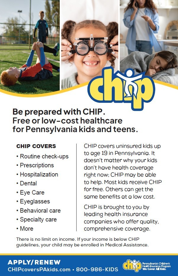 Chip application and renewal flyer