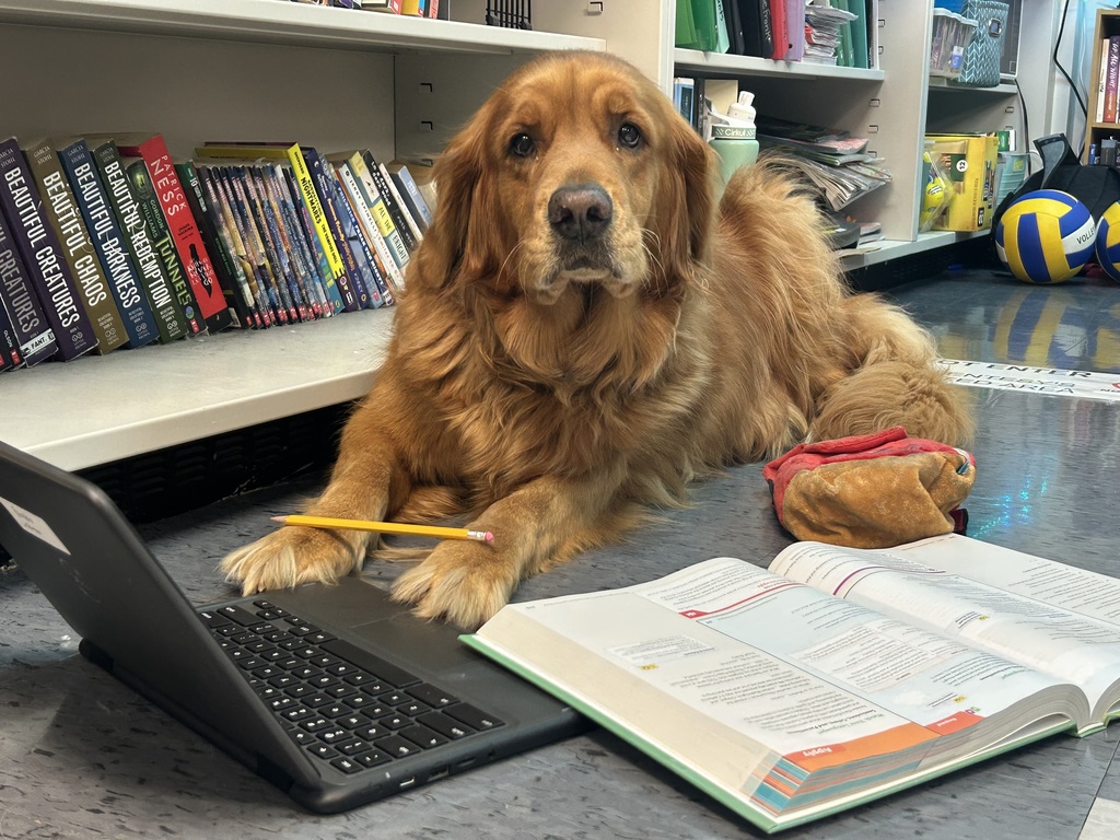 Dog with school supplies