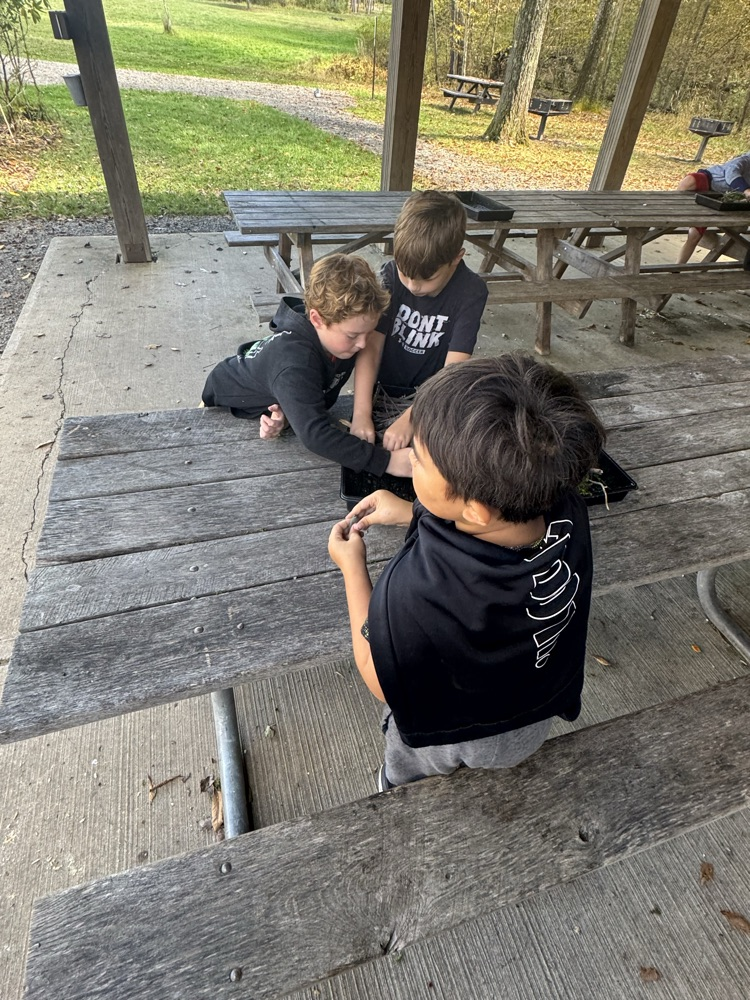 kids
