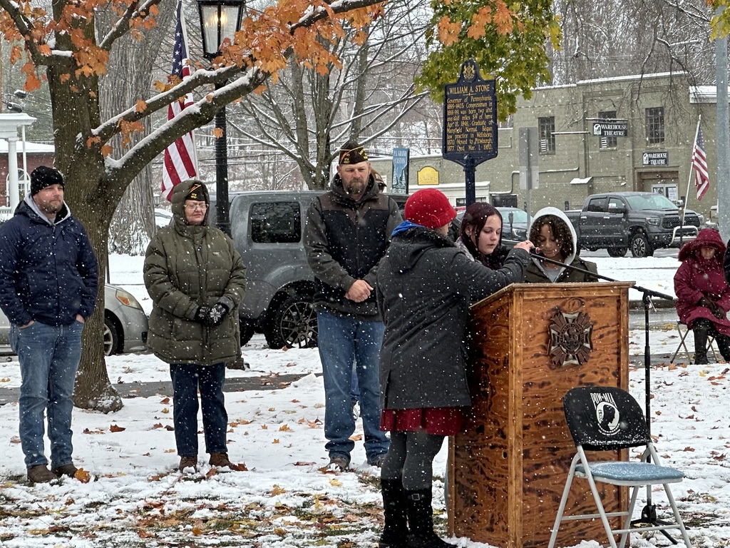 Veterans Day Ceremony on Green