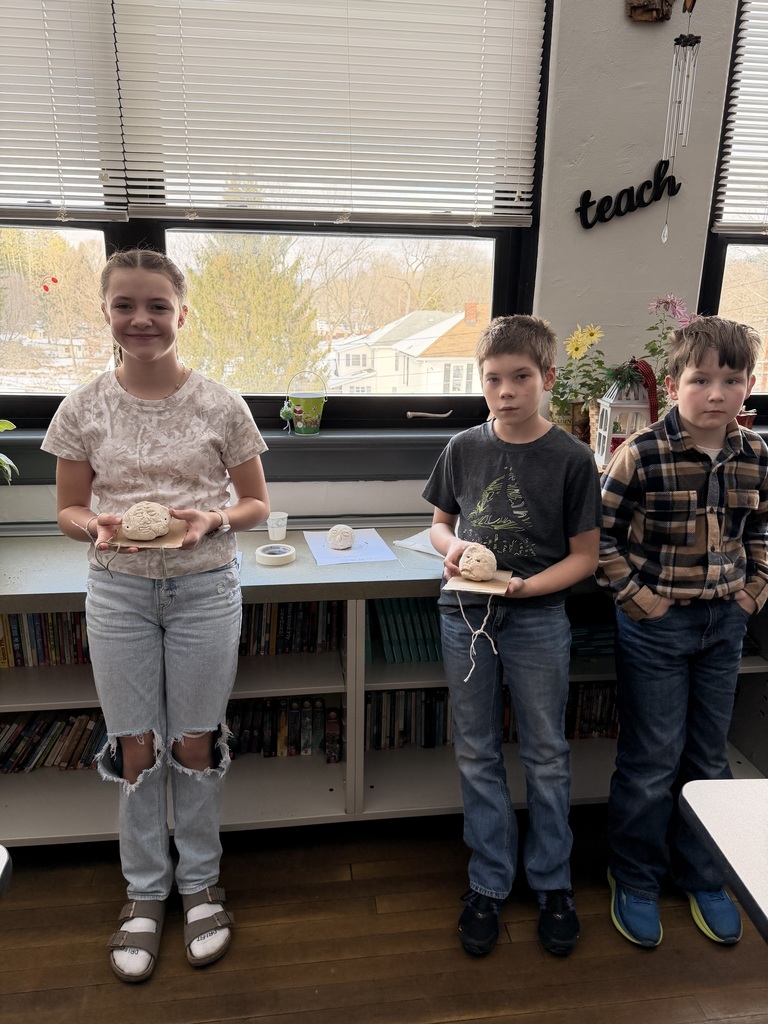 Social studies students