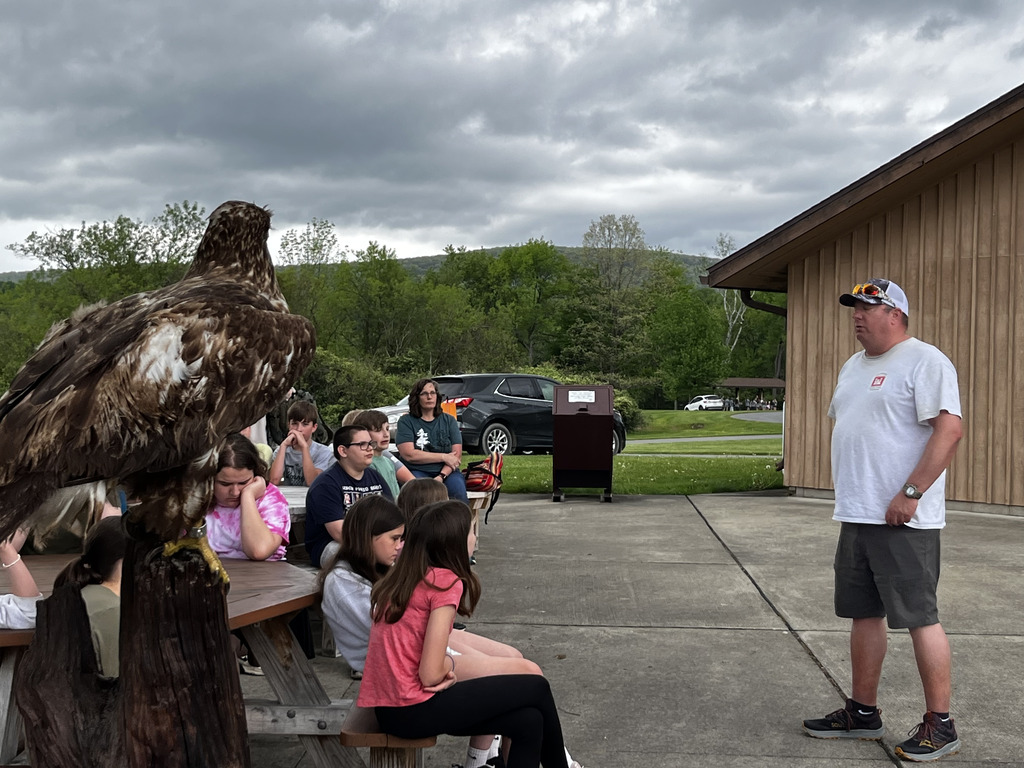 Bald Eagle Presentation