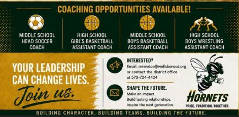 Information for applying for a coaching position