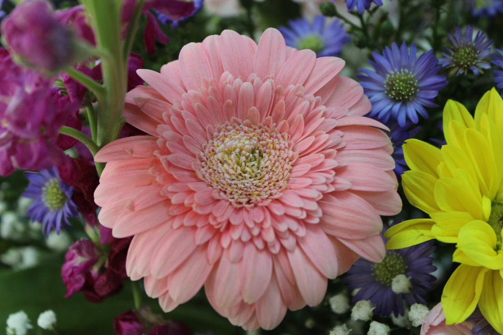 Flower