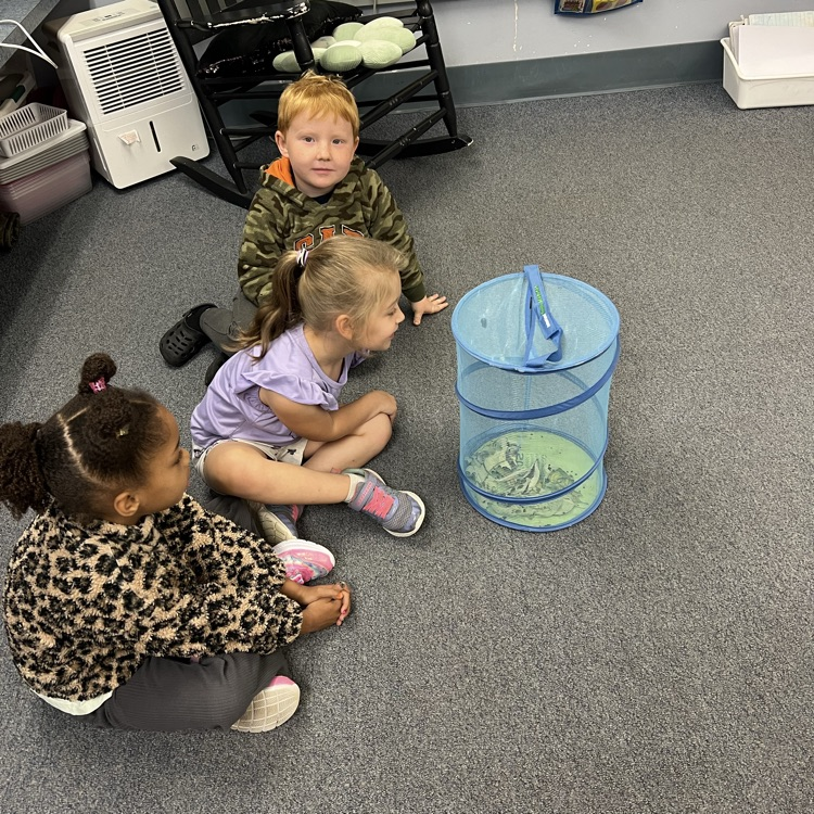 kids