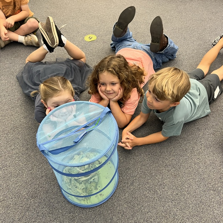 kids