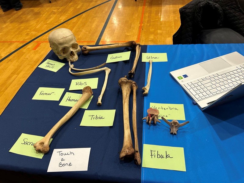 Health and Human Services