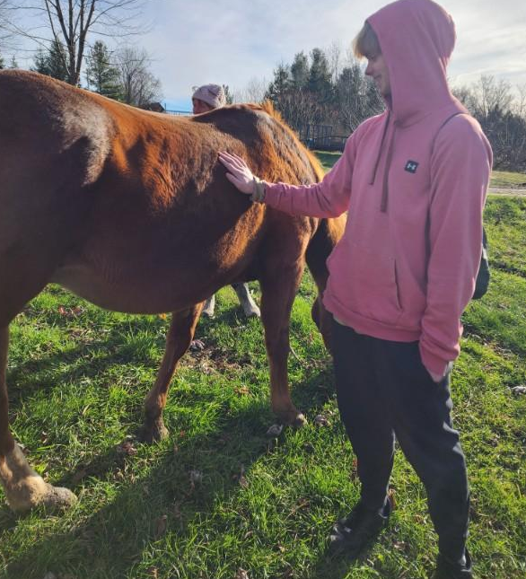 Ability Mentoring Day 