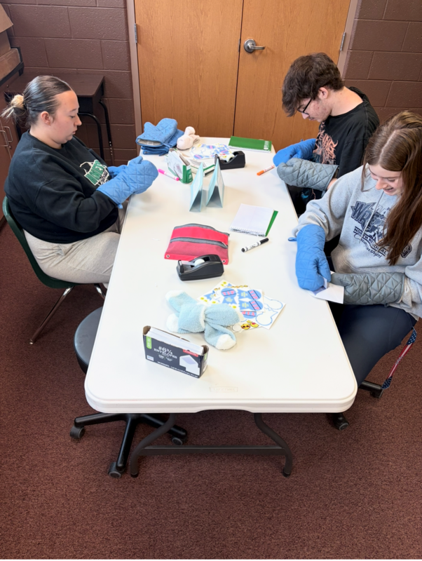 Disability awareness in health occupations CTE.