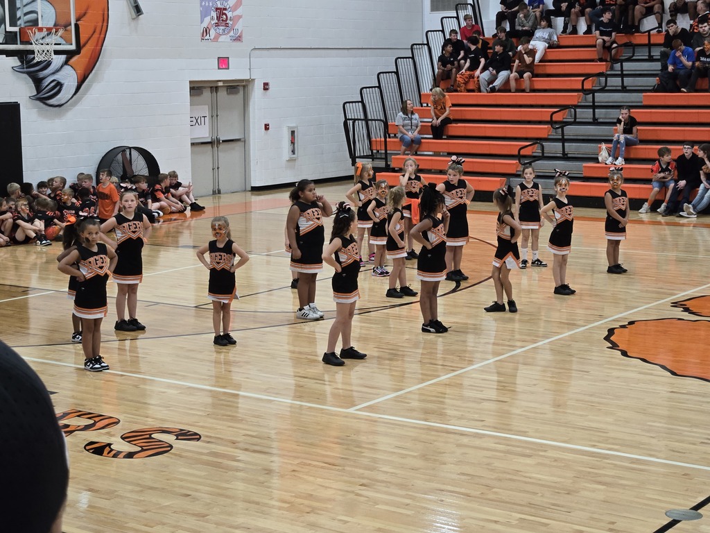 Jr Tigers