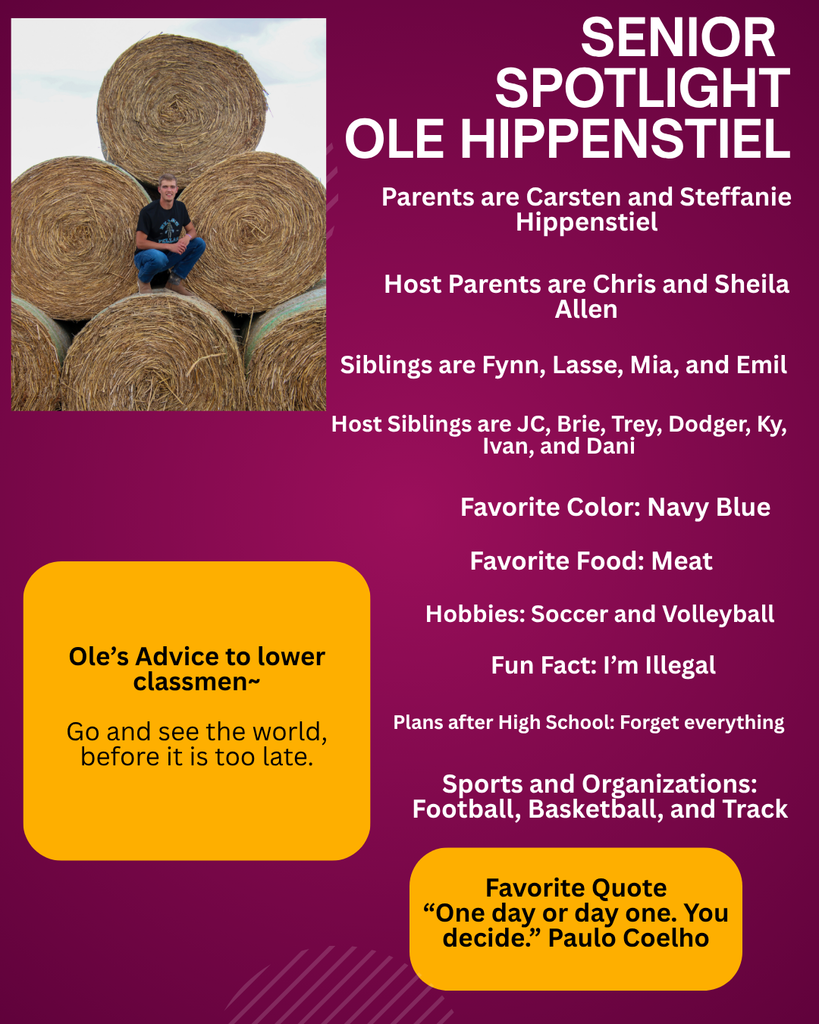 Ole Hippenstiel