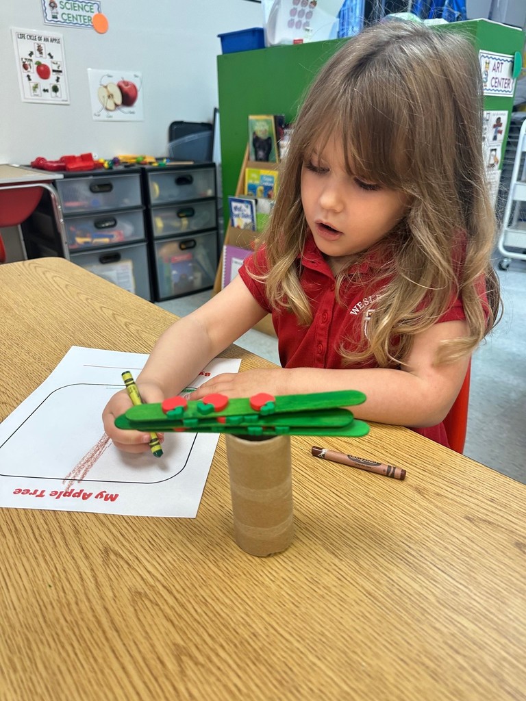 PreK 4s STEAM Activity