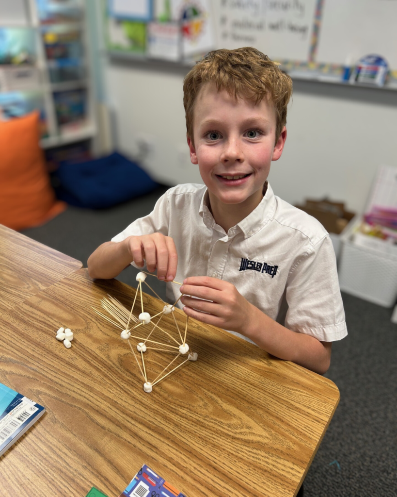 3rd Grade Marshmallow STEM lesson