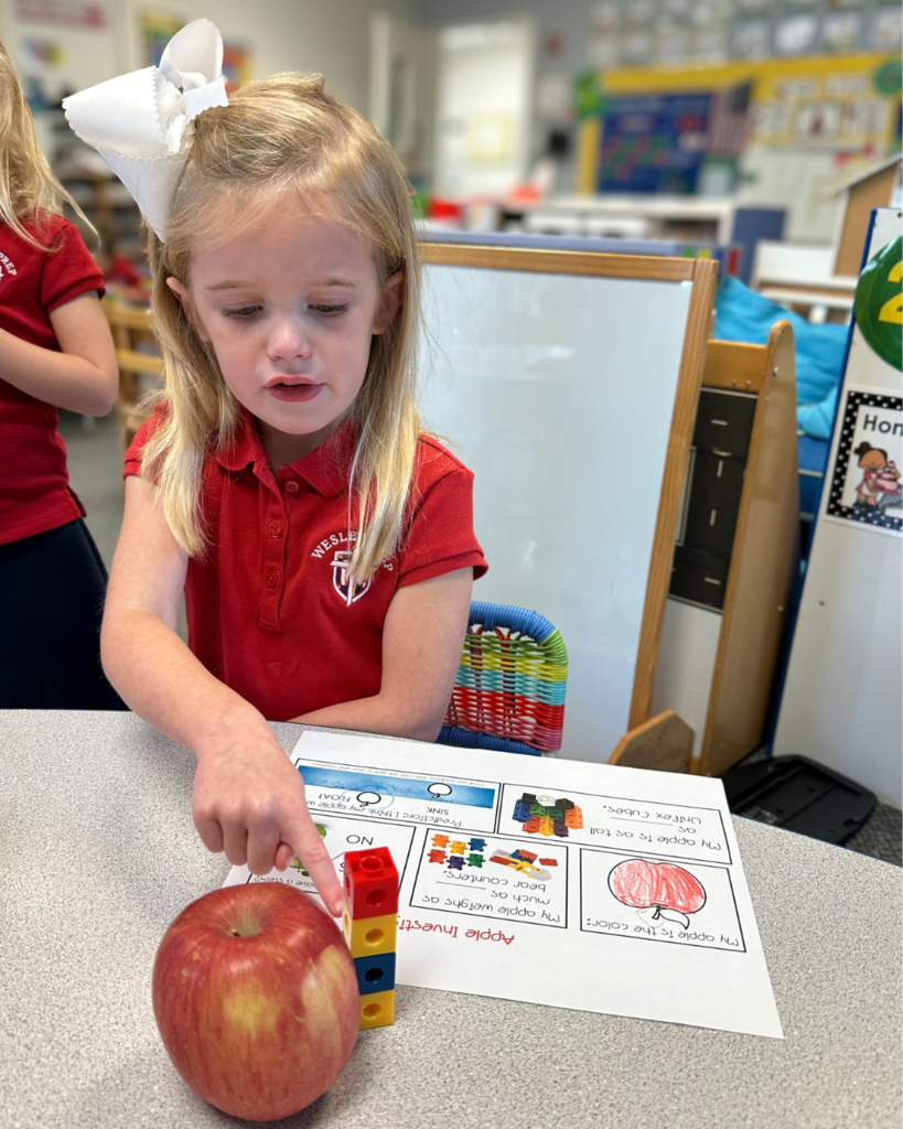 PreK 4 STEM Lesson