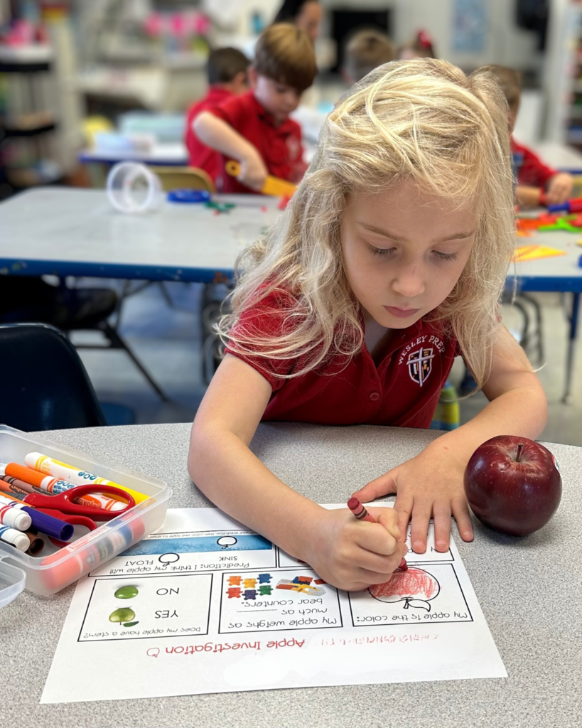 PreK 4 STEM Lesson