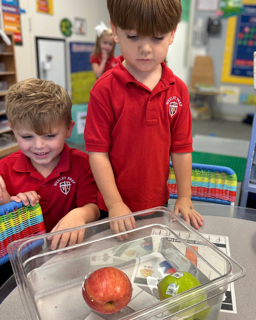 PreK 4 STEM Lesson