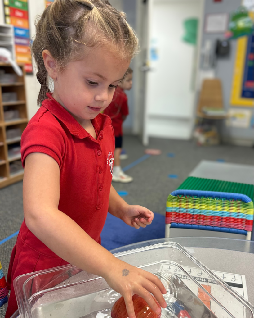 PreK 4 STEM Lesson