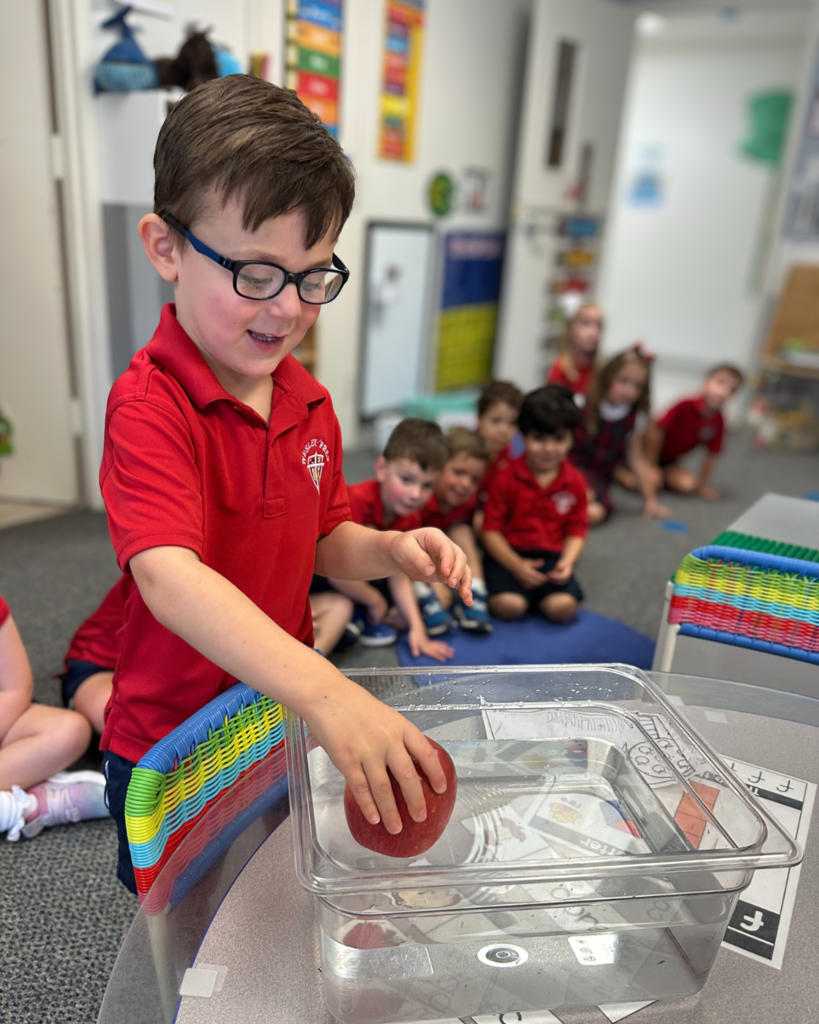 PreK 4 STEM Lesson