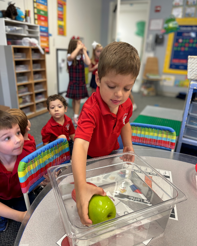 PreK 4 STEM Lesson