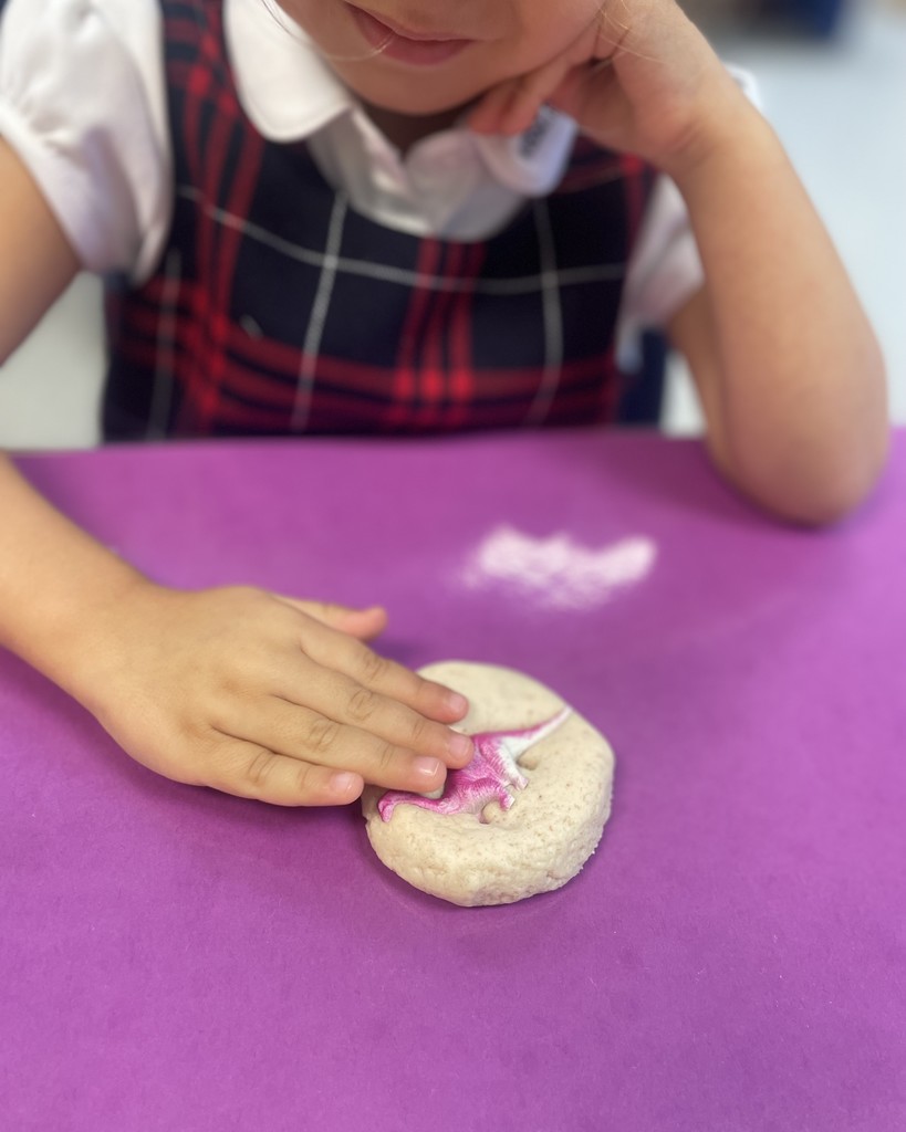 PreK 3 STEM Fossil Activity