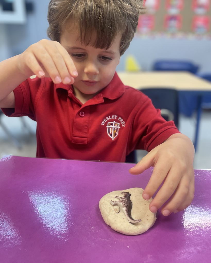 PreK 3 STEM Fossil Activity