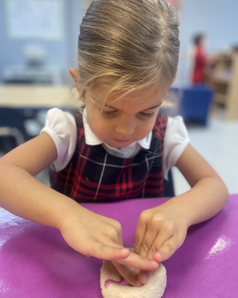 PreK 3 STEM Fossil Activity