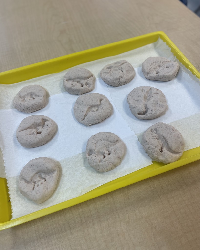 PreK 3 STEM Fossil Activity