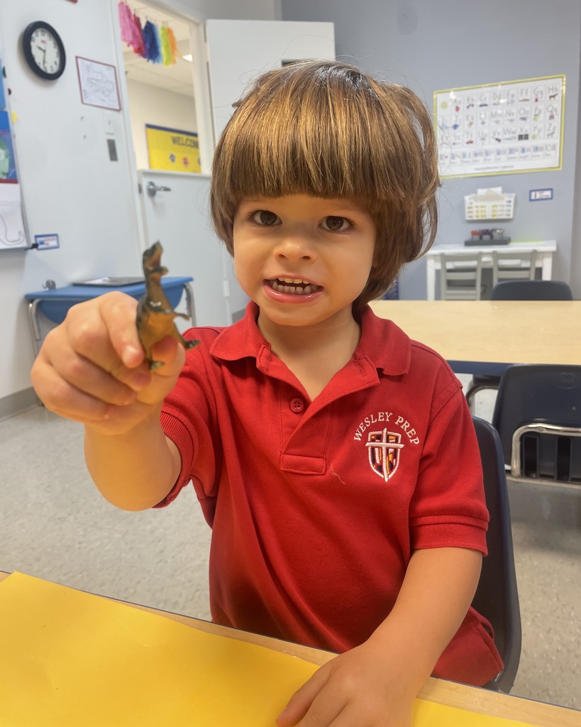 PreK 3 STEM Fossil Activity