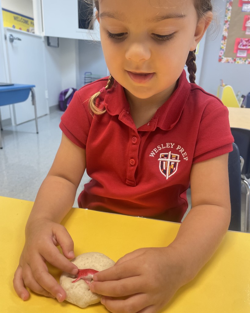 PreK 3 STEM Fossil Activity