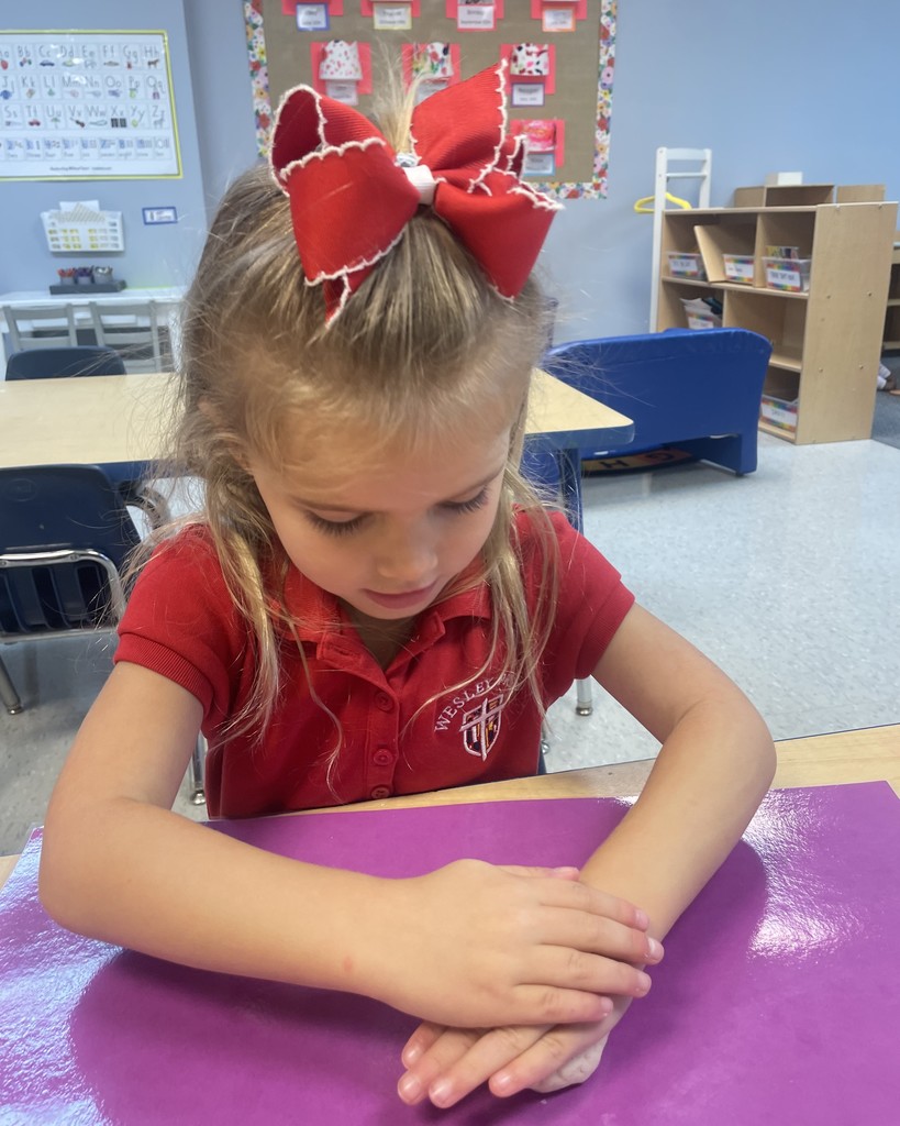 PreK 3 STEM Fossil Activity