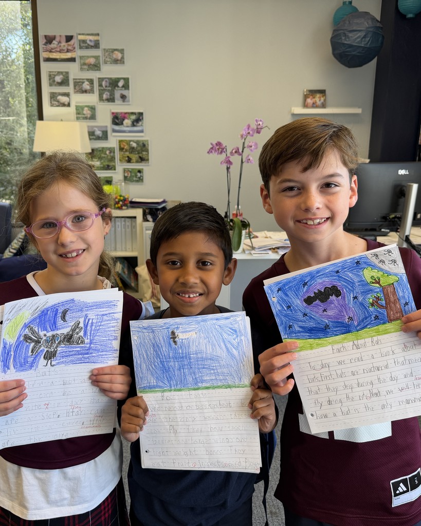 2nd Grade Descriptive Writing Lesson
